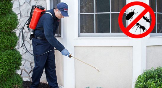 Ağrı Gümüşkurt İlaçlama böcek ilaçlama ve haşere kontrolü — ilaclama-tr.com